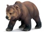 Grizzly femmina