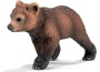 Grizzly cucciolo