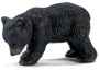Orso nero cucciolo