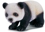 Panda cucciolo