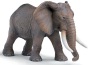 Elefante maschio africano
