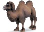 Cammello