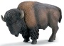 Bisonte