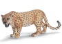 Leopardo
