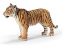 Tigre femmina