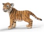 Tigre cucciolo in piedi