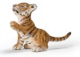 Tigre cucciolo che gioca