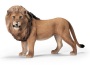 Leone