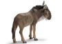 Gnu