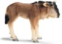 Gnu cucciolo