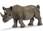 Rinoceronte africano nero maschio