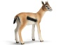 Gazella