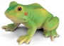 Rana
