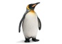 Pinguino imperiale