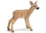Cerbiatto