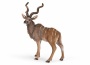Kudu antilope