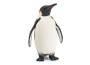 Pinguino imperiale