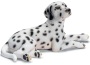 Dalmata sgraiato