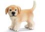 Golden retriever cucciolo in piedi