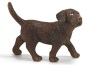 Labrador cucciolo