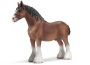 Stallone clydesdale