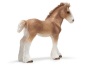 Puledro clydesdale
