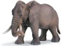 Elefante femmina africana