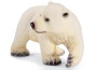 Cucciolo di orso polare