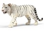 Tigre maschio bianco