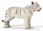 Tigre femmina bianca