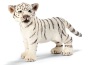 Tigre cucciolo bianco in piedi