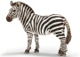 Zebra femmina