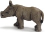 Cucciolo di rinoceronte