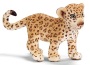 Leopardo cucciolo